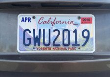 License Plates Laws